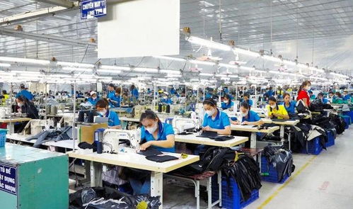 東莞電子廠外遷越南，工人失業困境與網絡技術服務解決方案